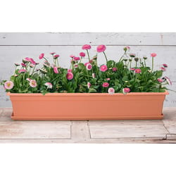 Novelty 6.4 in. H X 36 in. W X 8 in. D Plastic Countryside Flower Box Terracotta