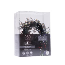 Celebrations Platinum LED Micro Dot/Fairy Multicolored 250 ct String Christmas Lights 10 ft.