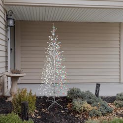 Celebrations LED Multi Birch 6.5 ft. Yard Decor