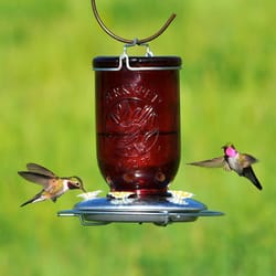 Perky-pet Bird Feeder Hanging Chain 33