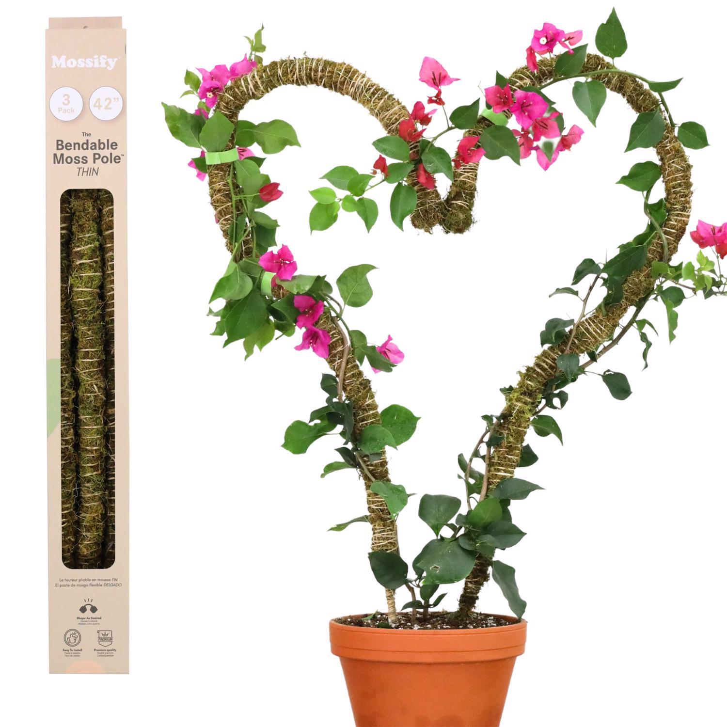 新品未使用　MOSS STICK 50SW IMG-5414_grande.jpg?v=1718652002