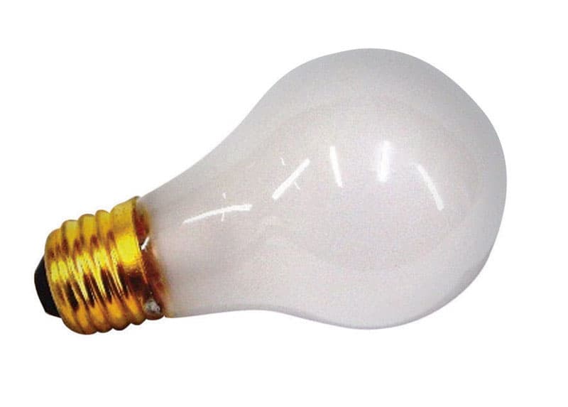 US Hardware 100 W A19 Appliance Incandescent Bulb E26 (Medium) White 1 ...