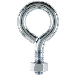 Hampton 5/16 in. X 2-1/4 in. L Zinc-Plated Steel Eyebolt Nut Included