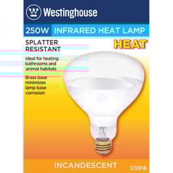 Westinghouse 250 W R40 Reflector Incandescent Bulb E26 (Medium) White 1 pk