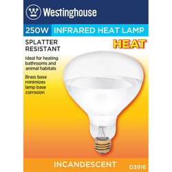 Westinghouse 250 W R40 Reflector Incandescent Bulb E26 (Medium) White 1 pk