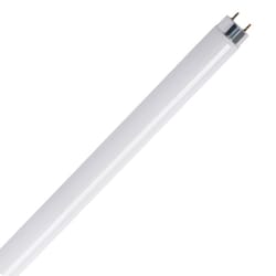 32W Equivalent 4 ft. Cool White Linear T8 Type A LED Tube Light Bulb  (1-Pack)