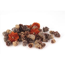 Second Nature Pinecones and Velvet Orange Pumpkins Tabletop Decor