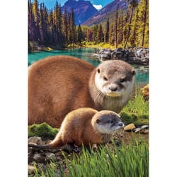 Eurographics Otters Jigsaw Puzzle Multicolored 250 pc