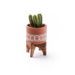 Matr Boomie 6 in. H X 4 in. D Terracotta Planter with Stand Multicolored