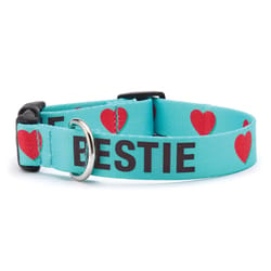 Up Country Teal Bestie Nylon Dog Collar Small