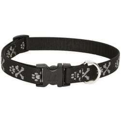 LupinePet Original Designs Multicolor Bling Bonz Nylon Dog Adjustable Collar