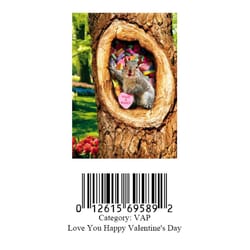 Avanti Press, Inc.  Squirrel in Tree With Candy Hearts  Greeting Cards  Paper  1 pk 