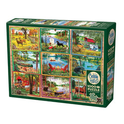 Cobble Hill Postcards From Lake Country Jigsaw Puzzle Cardboard 1000 pc