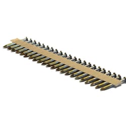 Paslode Positive Placement 2-1/2 in. L Straight Strip Brite Metal Connector Nails 2500 pk