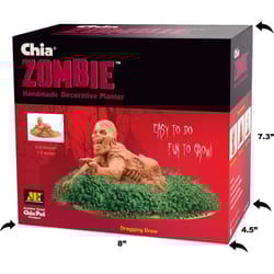 Chia Pet Zombie Dragging Drew Decorative Planter Clay 1 pk