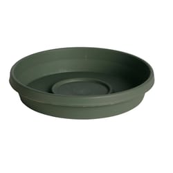 Bloem TerraTray 2.5 in. H X 13 in. W X 13 in. D X 14 in. D Resin Traditional Plant Saucer Living Gre