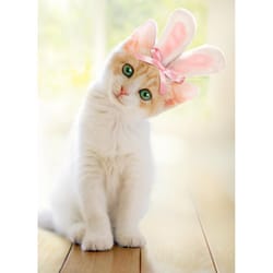 Avanti Seasonal Kitten With Bunny Ears Easter Card Paper 2 pc
