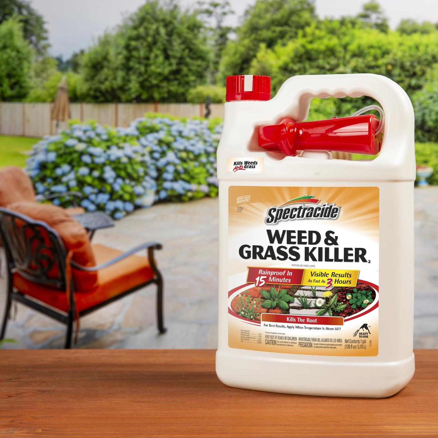 Spectracide Weed And Grass Killer RTU Liquid 1 Gal. - Ace Hardware