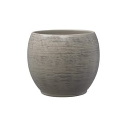 SK 3.9 in. H X 4.7 in. D Clay Alberta Ceramic Pot Brown