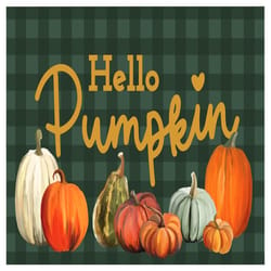 Modern Mat 32 in. W X 20 in. L Multi-Color Hello Pumpkin Polyester Door Mat