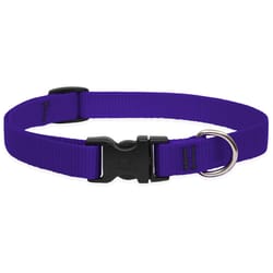 LupinePet Basic Solids Purple Purple Nylon Dog Adjustable Collar