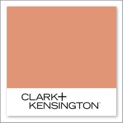 Clark+Kensington Mango Tea 11B-4