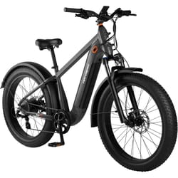 Retrospec Unisex Electric Bicycle Matte Black