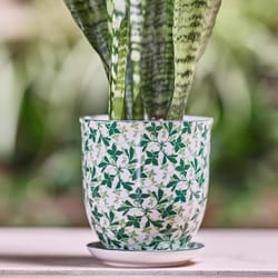 Chive Liberte 4.25 in. D Ceramic Flower Pot Green Leaves 4