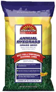 grass seed ryegrass lawn ace hardware