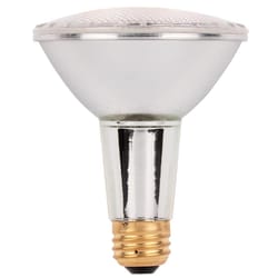 Westinghouse 500 watts T3 Halogen Bulb 9500 lumens Bright White Utility 2 