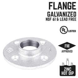 STZ Industries 1 in. FIP each Galvanized Malleable Iron Floor Flange