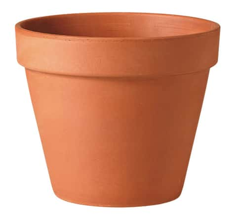 Vaso terracotta - Keep It Up!