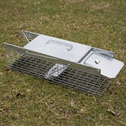Animal Traps: Traps for Mice, Rats & Squirrels at Ace Hardware