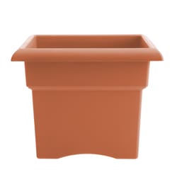 Bloem Veranda 11.25 in. H X 14 in. W X 14 in. D Plastic Traditional Planter Box Terracotta