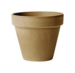 Deroma 8 in. H X 8 in. D Clay Standard Planter Brown