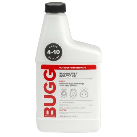 Bugg Liquid Concentrate Insect Killer Concentrate 16 oz