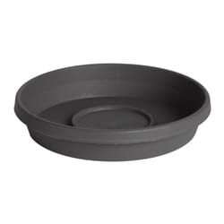 Bloem Terra 1 in. H X 5.5 in. W X 4.75 in. D Plastic Traditional Plant Saucer Charcoal