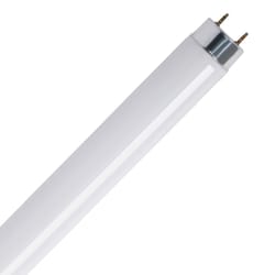 Feit Legacy Bulbs 32 W T8 1 in. D X 47.8 in. L Fluorescent Bulb Daylight Linear 6500 K 2 pk