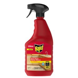 Raid Kitchen Defense Ant and Roach Killer Spray 22 oz