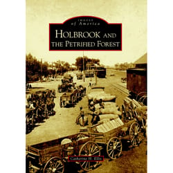 Arcadia Publishing Holbrook and the Petrified Forest History Book