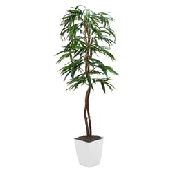 DW Silks 72 in. H X 30 in. L Polyester Weeping Ficus Tree in White Planter