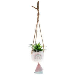Karma 2 in. H X 2 in. L Multicolored Ceramic Hanging Succulent Pot