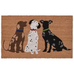 Liora Manne 1.5 W X 2.5 L Natural Dogs Coir Floor Mat