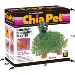 Chia Pet Dinosaur Decorative Planter Clay 1 pk