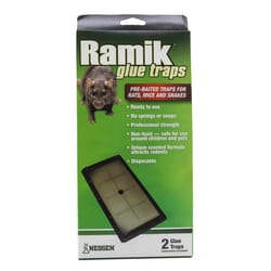 Ramik Board Trap For Rats 2 pk