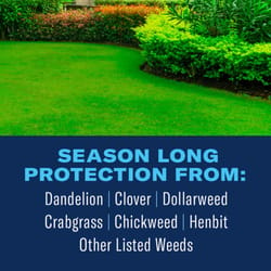 BioAdvanced Season Long Weed Killer + Preventer Granules 10 lb