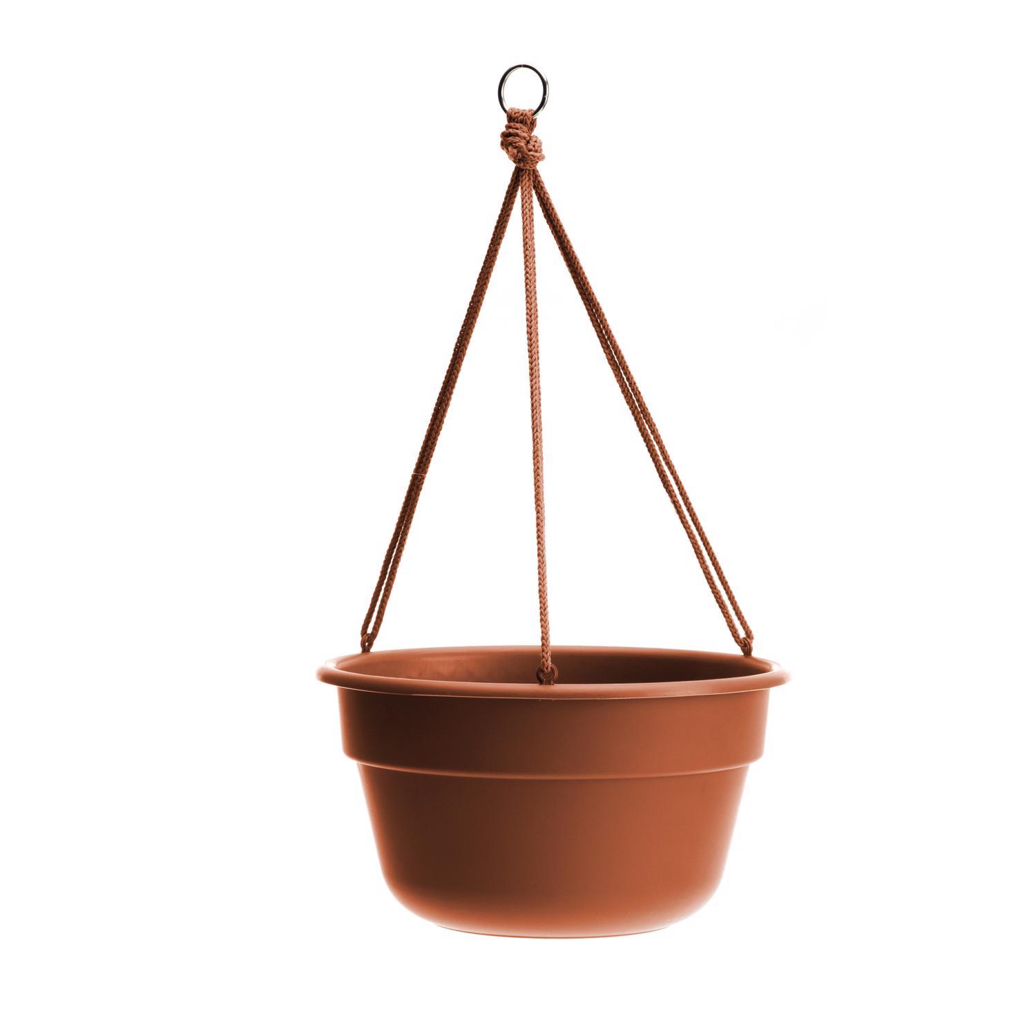 Bloem 6.8 in. H X 12.4 in. D Resin Hanging Basket Chocolate