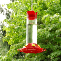 Feit Bird Genius Smart Feeder Wild Bird 2.5 L Plastic Bird Feeder 1 ports -  Ace Hardware