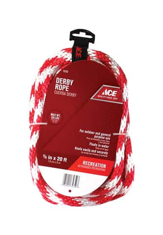 Ace 5/8 in. D X 100 in. L Blue/Green Diamond Braided Poly Rope