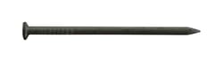 Pro-Fit 2 in. Common Bright Steel Nail Flat Head 1 lb